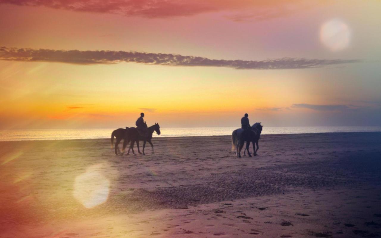Blue Wave Lodge Agadir n'Ait Sa 외부 사진